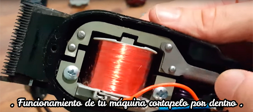 ¿Cómo funciona una máquina cortapelos por dentro? | Alpel